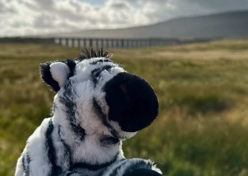 Zebra Law team during the Yorkshire Three Peaks Challenge